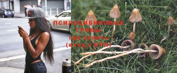 apvp Каменск-Шахтинский