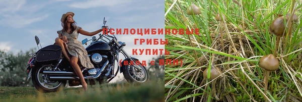 бутират Каменногорск