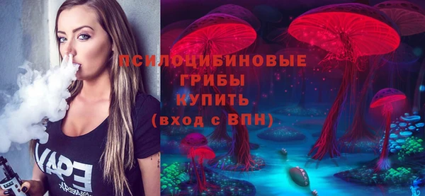 MDMA Premium VHQ Каменка