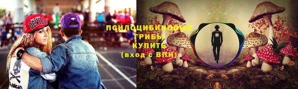 бутират Каменногорск